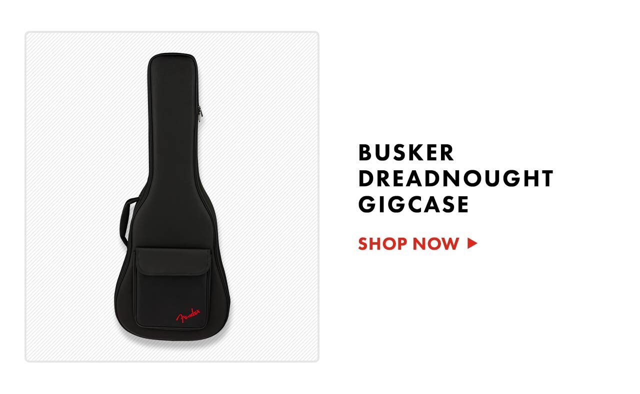 Busker Deadnought Gigcase