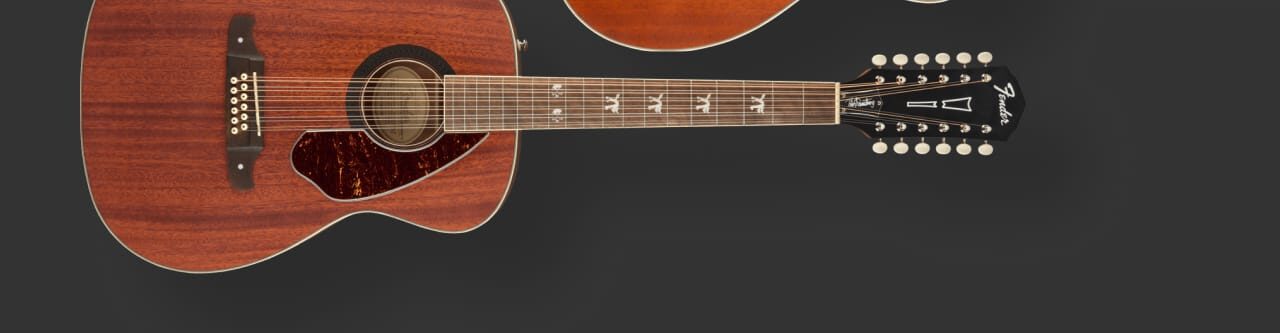 Tim Armstrong Hellcat 12 String