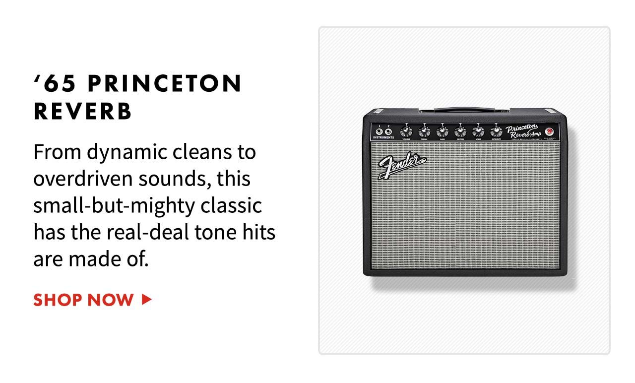 '65 Princeton Reverb