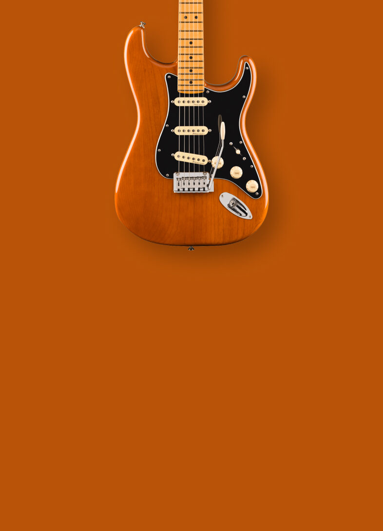 Web Exclusive Guitars