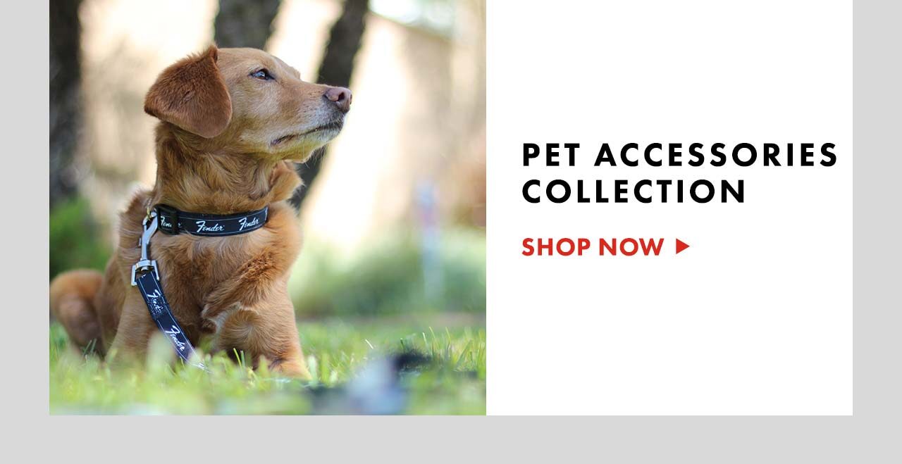 Pet Accessories Collection
