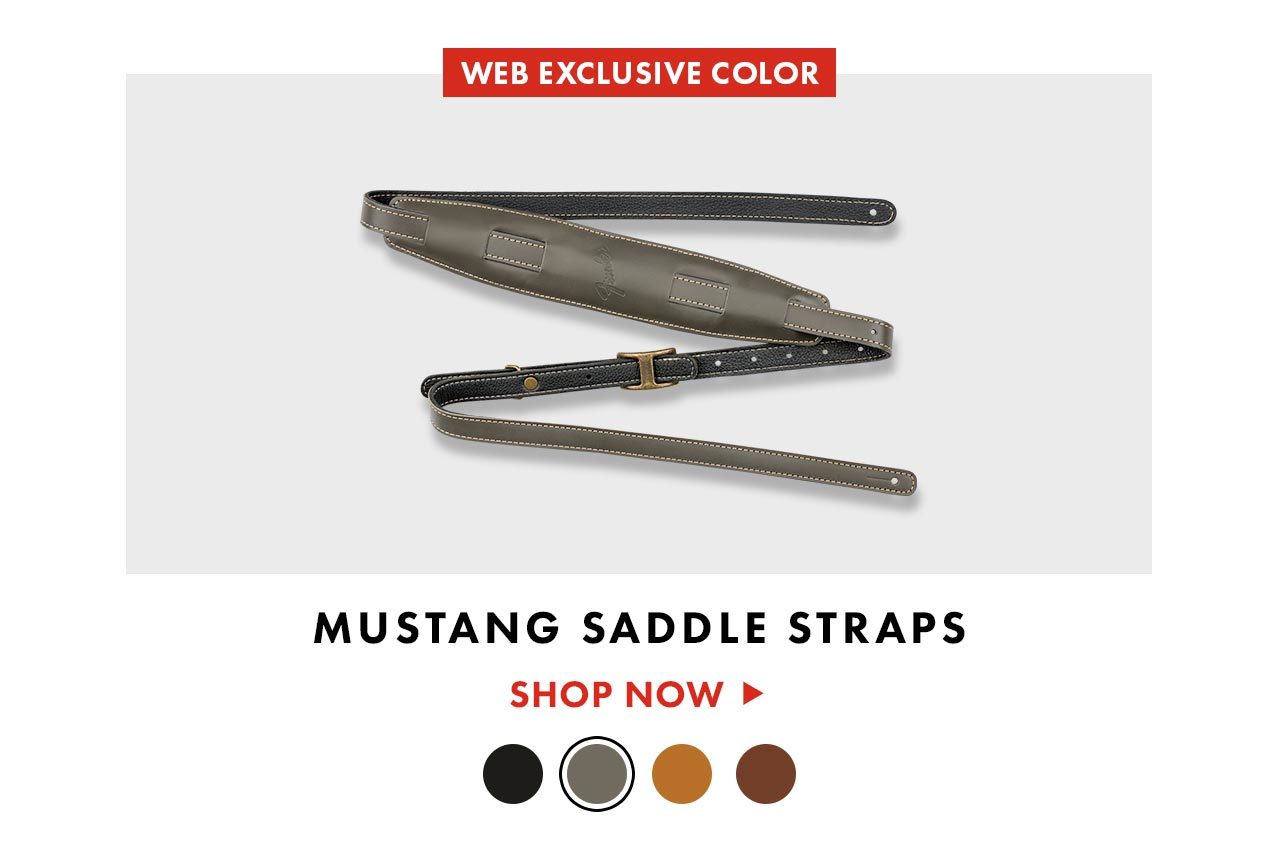 Mustang Saddle Straps